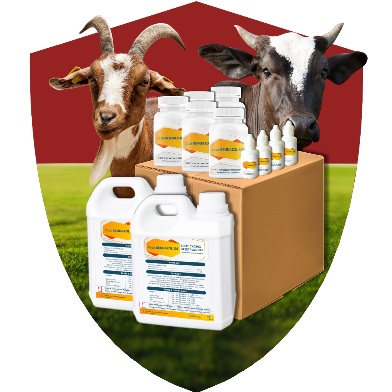 hero-img Paket Ceta Bendazol