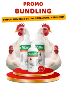 promo bundling