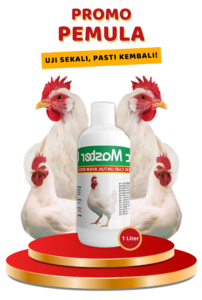 promo pemula